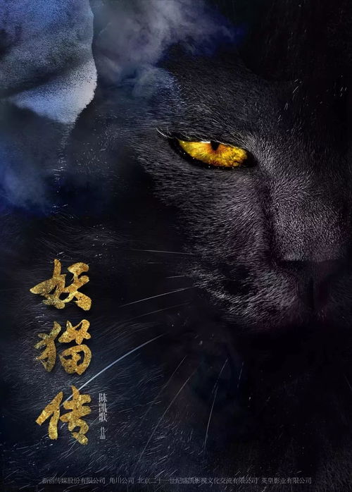 (帮我找到妖怪)在我身边：寻找我的妖怪猫系列-探寻隐藏在城市中的神秘秘密