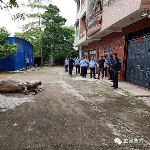 探索不同文化的表达差异：砰砰射击类型电子游戏在日语中是怎样称呼的?