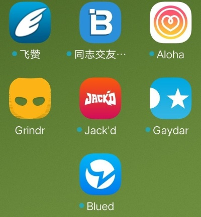 (怎样下载同志交友软件blued)对于定位于男同交友的Blued软件，用户怎么评价？