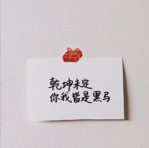 乾坤未定你我皆是黑马，既是挑战亦是机遇，勇敢追求自我实现。