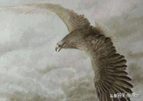 (齐谐者志怪者也的翻译)齐谐者志怪者也翻译句子：寻奇探秘，志在和谐。