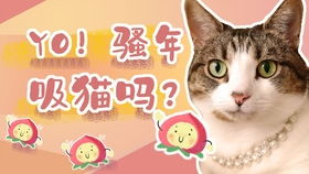 喵喵零食铺：专为爱猫人士打造的优质宠物零食，健康美味陪伴您的猫咪成长！