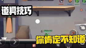 一步一步教你“探探猫大作战”战胜对方的全盘策略攻略，赢在细节的必杀技揭秘