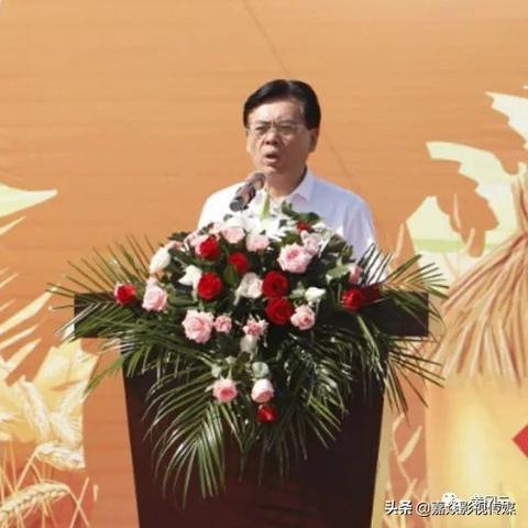 (猫咪田园ios)猫咪田园下架后的门店体验：重返自然，与猫咪共赏新生活