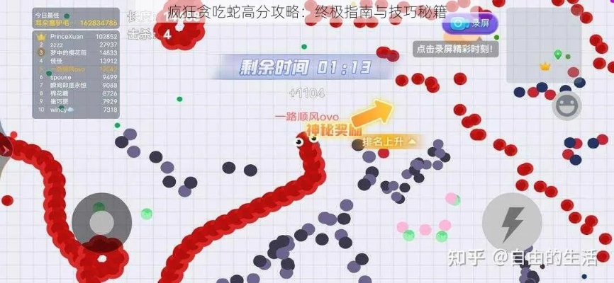 新手攻略：贪吃蛇血脉奇旅第二关丛林迷径全通关秘籍与实用技巧分享