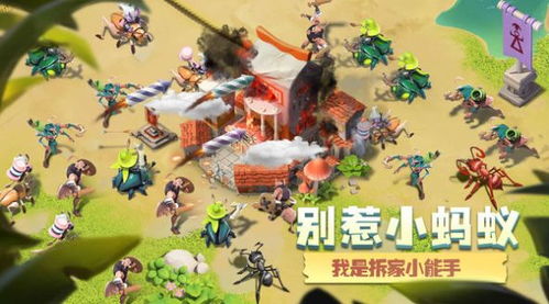 (小小蚁国是哪个公司的)全面解析小小蚁国中蚂蚁阵容推荐，助你轻松攻灭敌人获得胜利