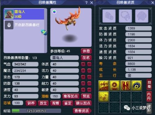 新手攻略：玩转大唐仙灵小程序，步步高升成为修仙高手的全面指南