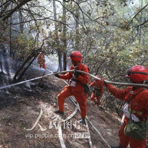 雅江火灾最新情况：致多人受伤，消防员紧急扑救，火势仍未得到控制。