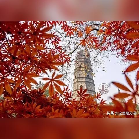 探秘天穹帝尊雨暮浮屠：神秘力量的拥有者与守护者之间的传奇故事