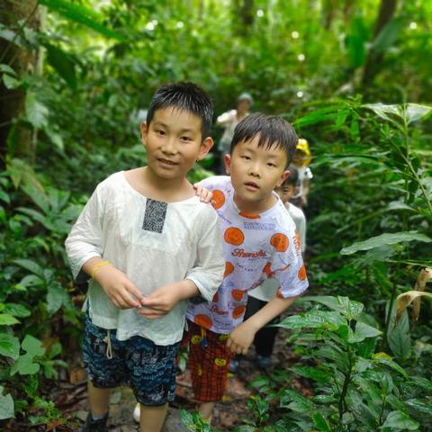 怪物仙境3攻略：探索未知世界，挑战强大怪物，提升实力战胜一切难关
