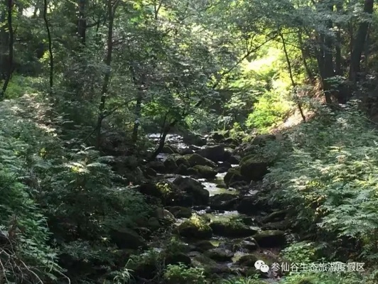 (百药山简介)百药潭在哪里？探秘这个神秘的药到之地