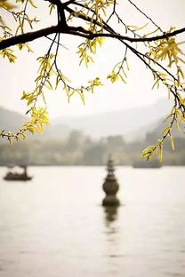 (一蓑一笠一什么舟)在一蓑一笠中最值得投资的职业选择