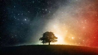 护核纪元星河：宇宙深处的守护者，守卫着无尽星空的秩序与和平