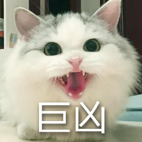 体验刺激的猫咪打猎无尽模式：揭秘如何运用无限金币获得最佳打猎成果