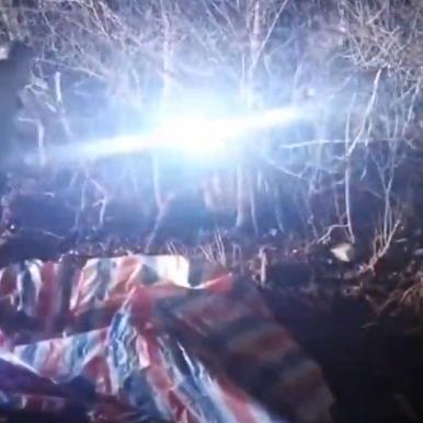 (老虎进入村庄咬死村民)官方通报：老虎进村咬人事件已发生，引起社会关注与警惕