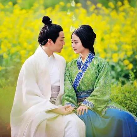 (庶女攻略 剧情简介)庶女攻略完整版：揭秘古装剧背后的权谋与情感纠葛