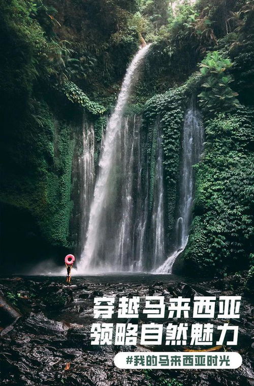 探秘自然之美：绿意盎然之碧海修仙录——深入解析修仙者如何利用碧海之力驾驭大自然