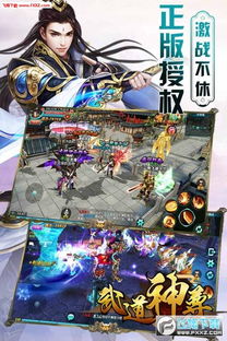 深入解析武道神尊：百度百科对于网络热门小说的深度解读和全面介绍