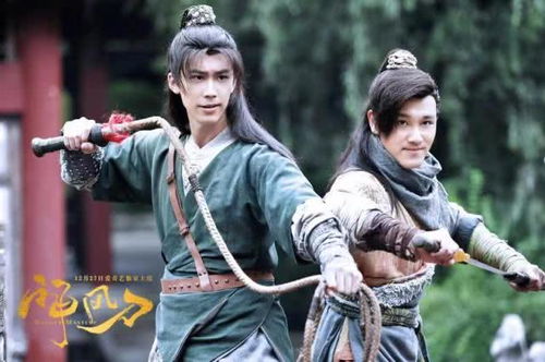 (神风刀剧情简介)最新更新神风刀演员表及主演演员阵容介绍