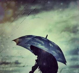 (淋雨少年动漫图片)淋雨少年：在挑战与坚持中探索最终法则的成长之路