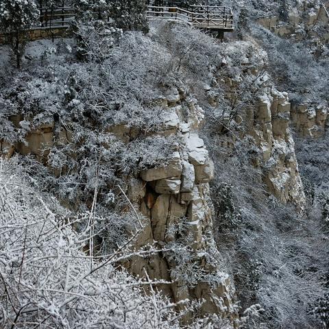 (与仙为途笔趣阁)与仙为途好看吗？一个神秘奇幻世界的壮丽与禅意之旅