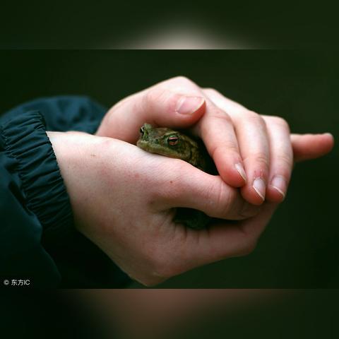 (拆东补西什么意思)拉东补西和拆东补西的区别：解读两种不同的管理策略