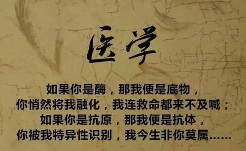(放学别走漫漫何其多晋江)沉浸在漫漫何其多的世界：放学别走小说免费阅读