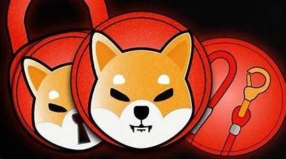 探索旋转节奏与Doge文化的奇妙结合：如何在音乐与表情中找到共鸣
