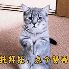 (电影冰冻记忆)冰冷回忆：零下记忆番外故事深藏心底的冰冻往事