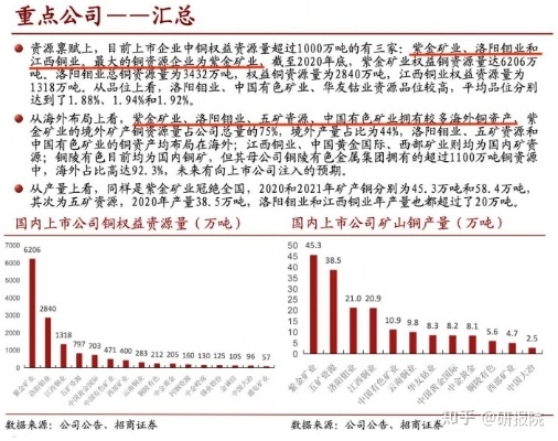 探寻原因：因版权问题导致的‘咔叽探险队’下架事件揭示了哪些行业风险？