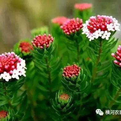 (地球地质纪年表)地球经历了四个主要的地质纪元，揭示了亿万年的变迁和演化