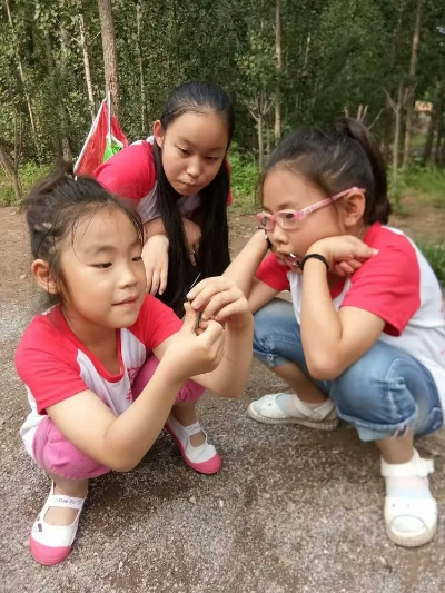 (姐妹争斗)姐妹生存大作战：团结一心，共同面对挑战，互相扶持共同成长