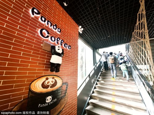 探秘熊猫咖啡屋：揭秘备受欢迎的特色饮品配方及其独特的制作工艺