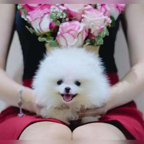 (恶魔学院在线播放第一季)探秘恶魔学院：黑暗力量的根源与学生们的挑战