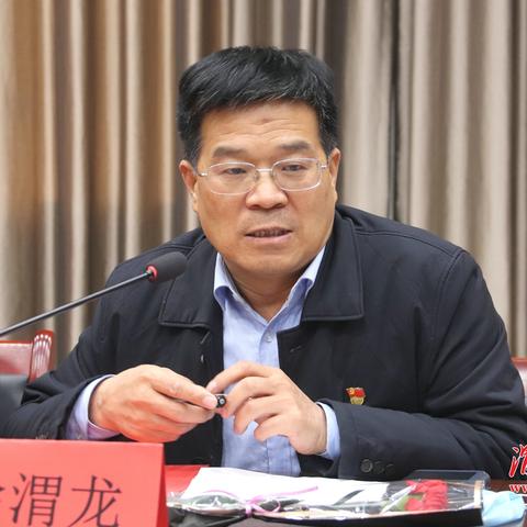 (大枭雄系统主角介绍)探索大枭雄系统境界划分的深刻内涵与实践意义