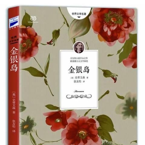 (冒险王国金银岛游戏)探索冒险王国金银岛1.0安卓版，发现宝藏和神秘之地