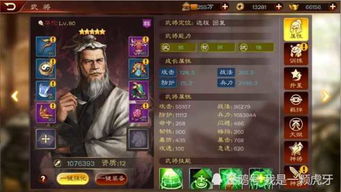 详解乱世游戏战略：实用手册为你揭秘天下争霸三国志攻略，一网打尽王者之路