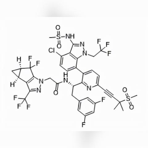 传奇生物2安卓汉化版：探索神秘世界，挑战无尽冒险，感受全新游戏体验！
