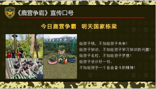 (奇门飞花令攻略)奇门飞花令：毒队无敌了吗？实力到底如何？