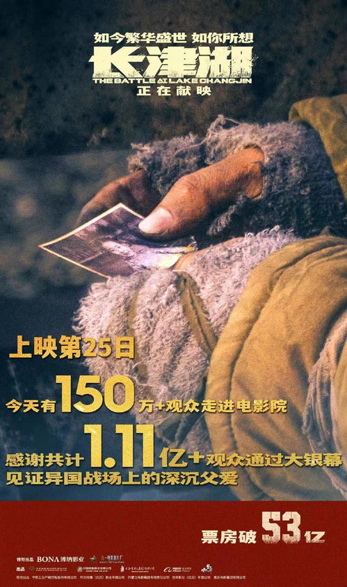 (探寻猫咪大战争的真相:背后的故事,意义与影响)探寻猫咪大战争的真相：背后的故事、意义与影响