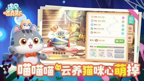 (遇见喵克斯兑换码)遇见喵克斯：近况揭秘，关于这只神秘猫咪的最新动向与趣事