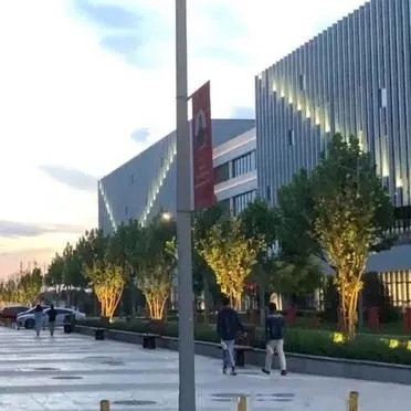 深入探讨天狮学院的学术地位与办学层次：它究竟属于几本高校？