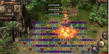 领主开拓骑士的崛起：探索新土地，征服未知领域，揭开王国传奇