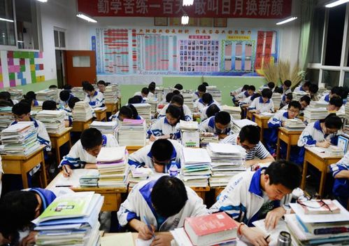 我的大学不减反增，在实践中蓬勃发展，教学质量不断提升，学生更为积极参与。