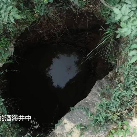 (战地指令最新组合)战地指令现在叫什么？探讨该游戏名称变迁背后的历史与情感