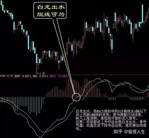 (钟馗 驱邪)陕北钟馗驱邪口诀的解释及应用技巧详解