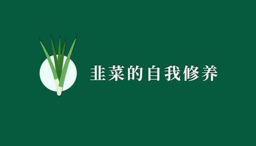 (社畜的出路)打破社畜束缚：探索职场生存与幸福的福报攻略之道