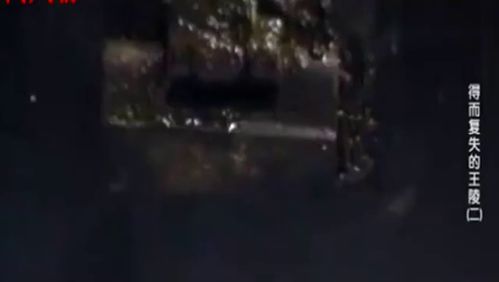 探秘大墓落幕，揭秘幽行玄城盗墓诡闻录：历经千年魅影，众生皆是守墓人的传奇神秘故事