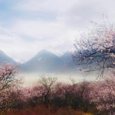 (以仙之名百度百科)以仙之名剧情全部：神秘仙境之旅，揭秘掌控众生的神秘力量
