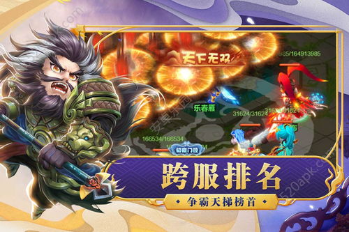 体验极致无敌：天天怼三国手游GM版让你统领三国，开启寰宇霸权之旅